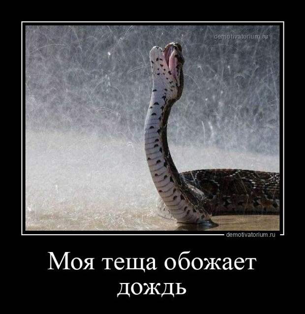 30 отменных демотиваторов на разные темы 30 отменных демотиваторов на разные темы