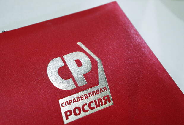 «Справедливая Россия» предложила выплачивать дополнительное единовременное пособие при рождении ребёнка