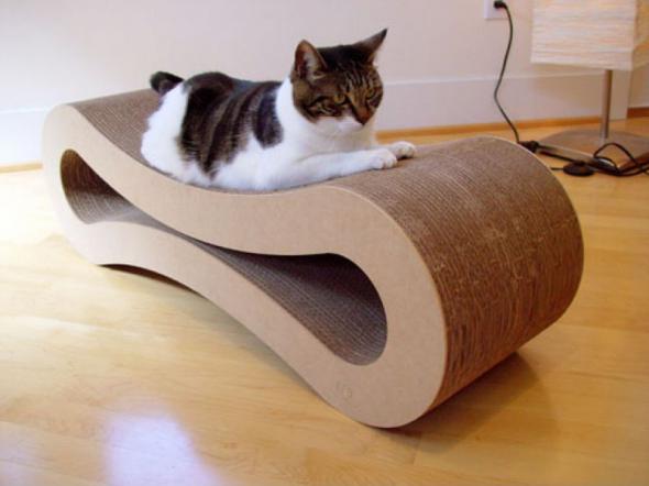 Котодизайн