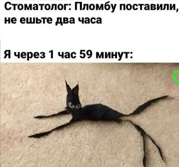 Настоящий друг никогда не спрашивает: Настоящий друг никогда не спрашивает: