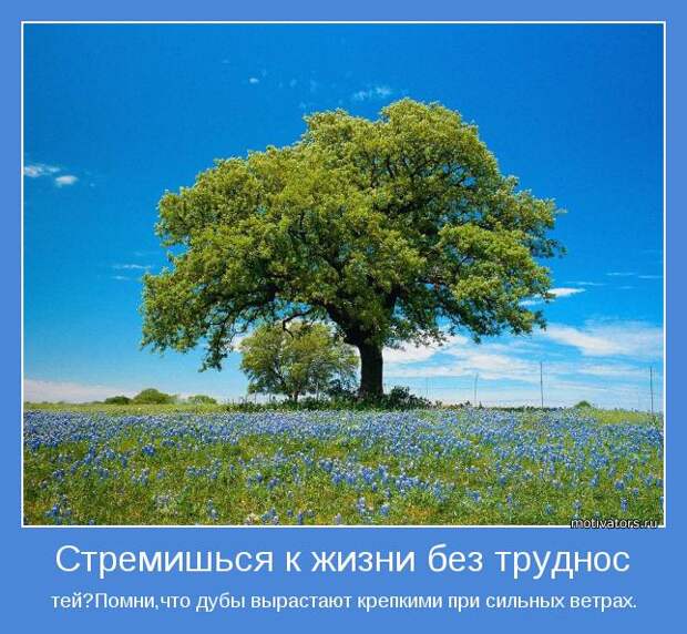 картинки - мотиваторы