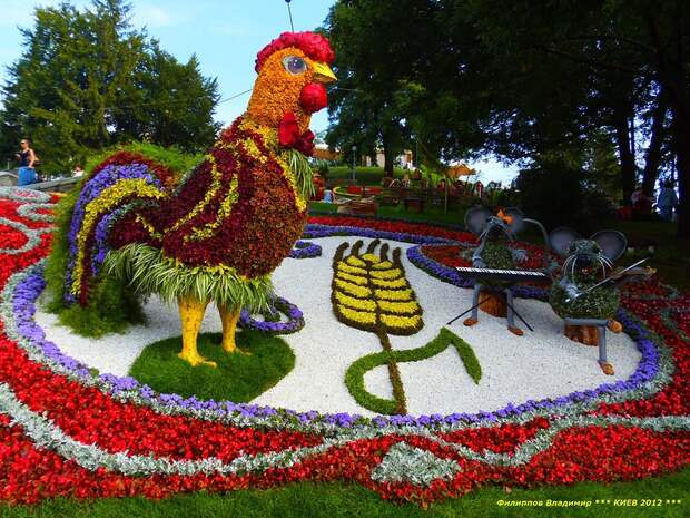 Выставка цветов 2012 в Киеве.