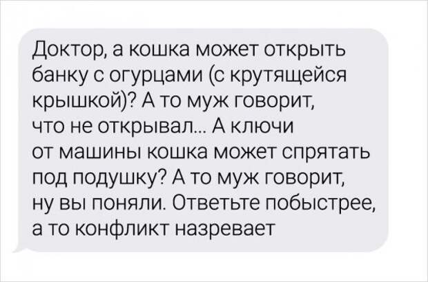Девушка-ветеринар поделилась забавными переписками с ее клиентами