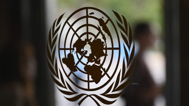 Совбез ООН почтил минутой молчания память погибших Раиси и Абдоллахияна