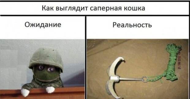kartinok-interesnyh-prikolnyh-kartinki-smeshnye-kartinki-fotoprikoly