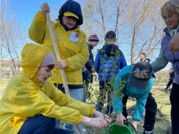 Аллею памяти детям, погибших в Донбассе, высадили в Уссурийске