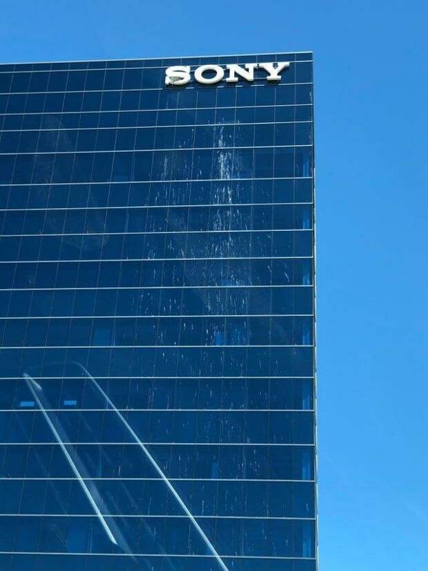 Какая-то птица свила гнездо на букве «S» в здании Sony в мире, вещи, подборка, познавательно, удивительно