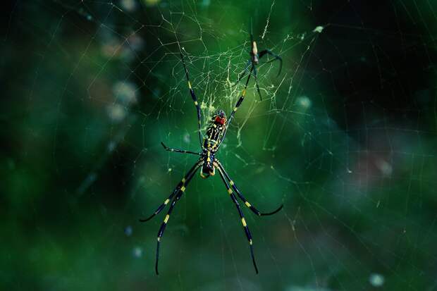 Кругосветка по Южной Корее. День первый southkorea07 Кругосветка по Южной Корее. День первый