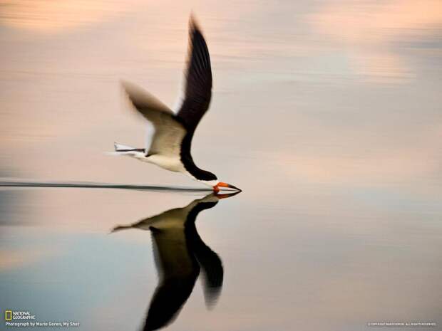 Мир в фотографиях от National Geographic