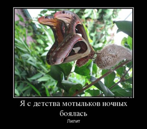 Демотиваторы они опять с нашими комментариями.