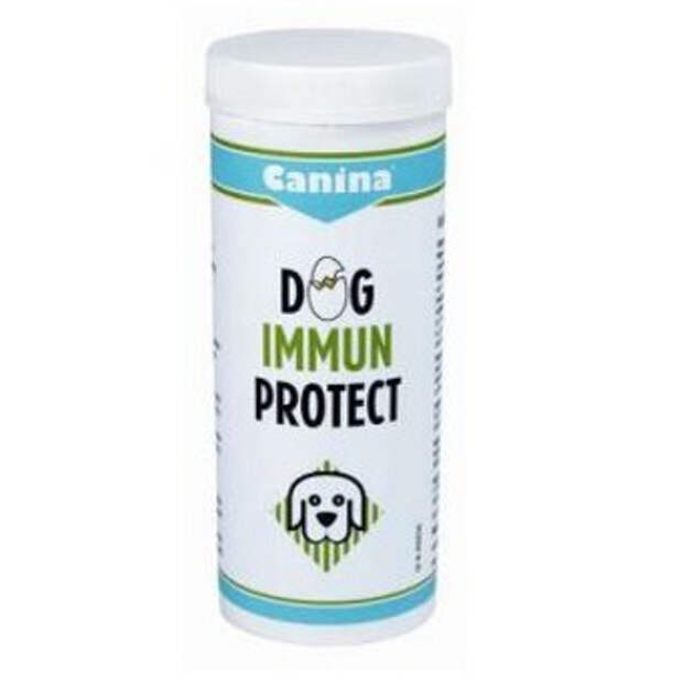 Как повысить иммунитет у собаки?