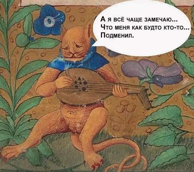 Юмор страдающее средневековье кот