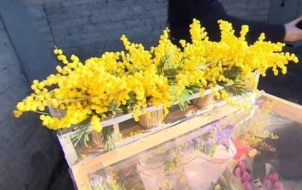 В Петербурге перед 8 марта пресекли незаконную торговлю цветами