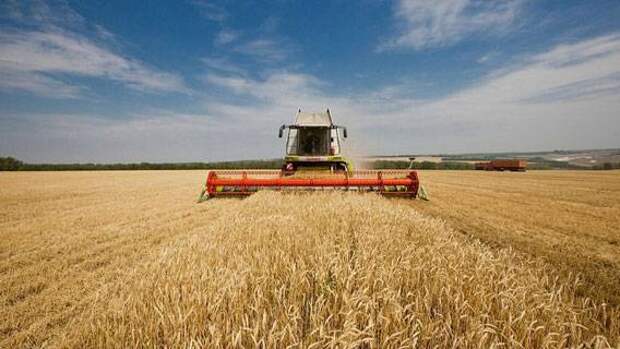 «На чужой каравай»: Первые подробности «зерновой сделки», которую сегодня заключили в Турции