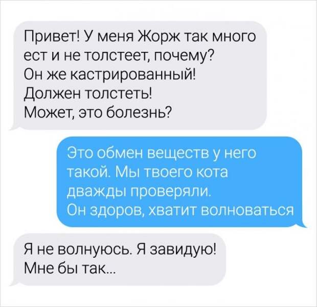 Девушка-ветеринар поделилась забавными переписками с ее клиентами