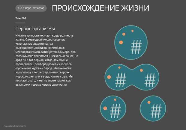 www.vsyako.net