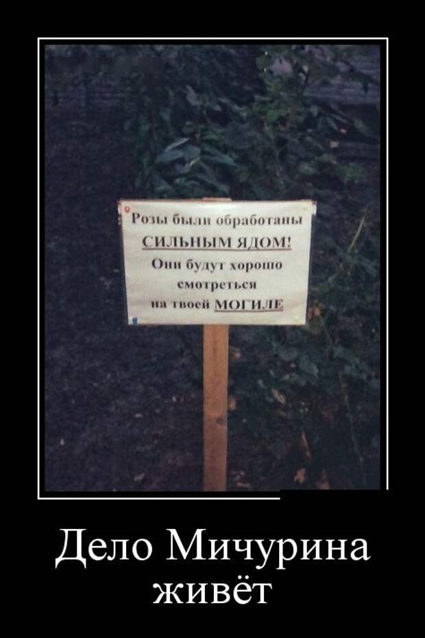 Демотиваторы (30 фото)
