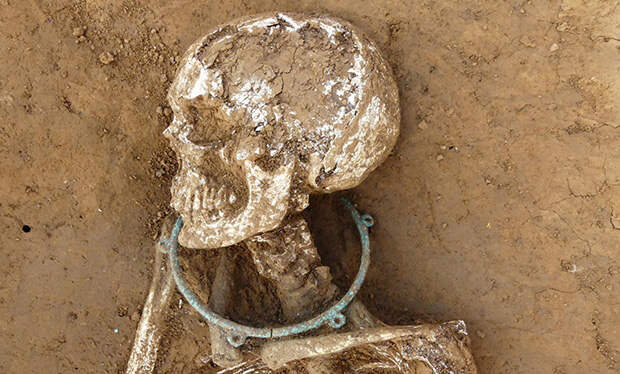 Во Франции раскопали поселение железного века с большим некрополем и кладом