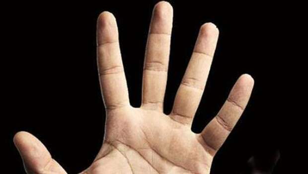 Правило 5 пальцев. Пять рука. Почему у человека 5 пальцев. Кисть руки человека и обезьяны. Десять пальцев на руке.