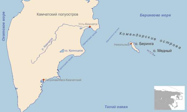 Командорские острова россия, природа, командорские острова