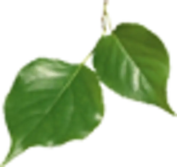 Универсальный станок для вышивания