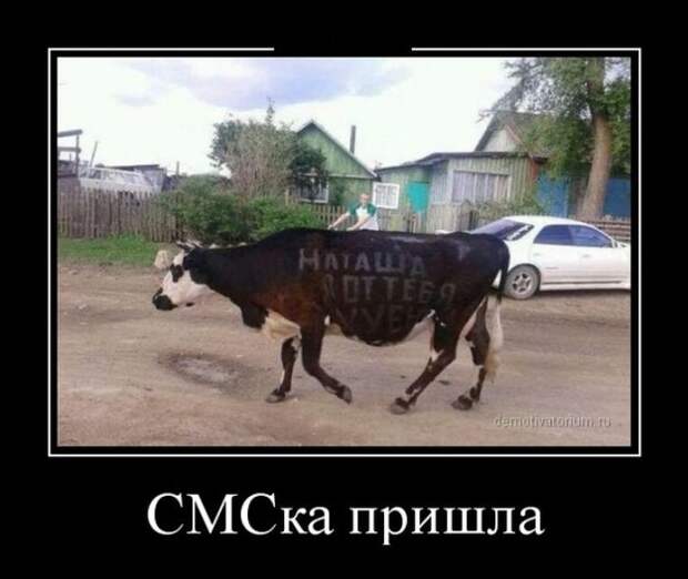 Демотиваторы