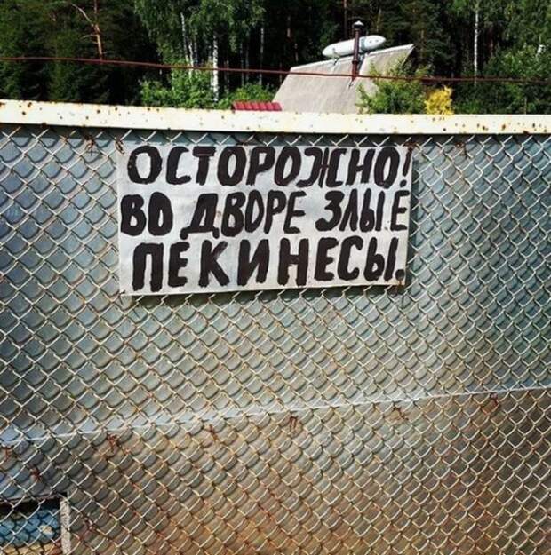 Необычные информационные таблички с калиток, ворот и заборов (15 фото)