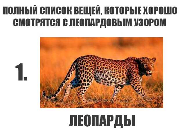 Картинки с глубочайшим жизненным смыслом