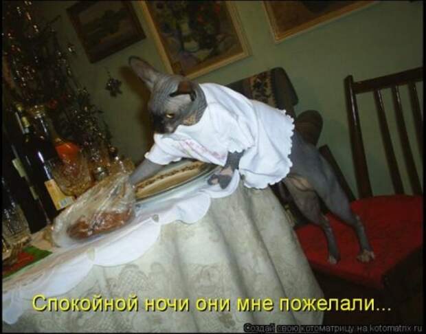 Котоматрицы