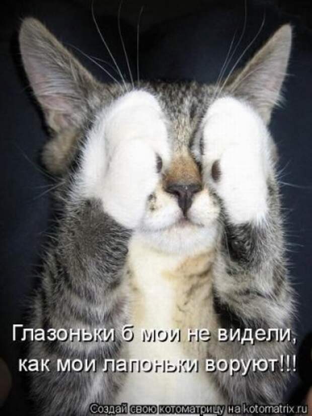 Смешная котоматрица