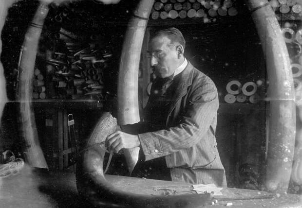 Слоновьи бивни, доставленные в Лондон в 1920-х годах
