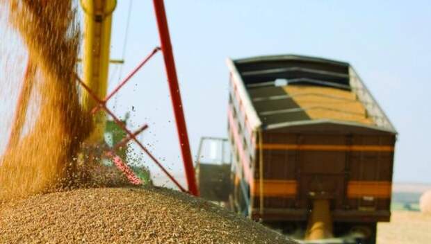 РВ: 26 тонн украинского зерна оказались не нужны единственному покупателю