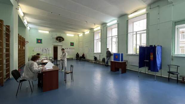 Иностранные эксперты отметили высокий уровень организации выборов в России