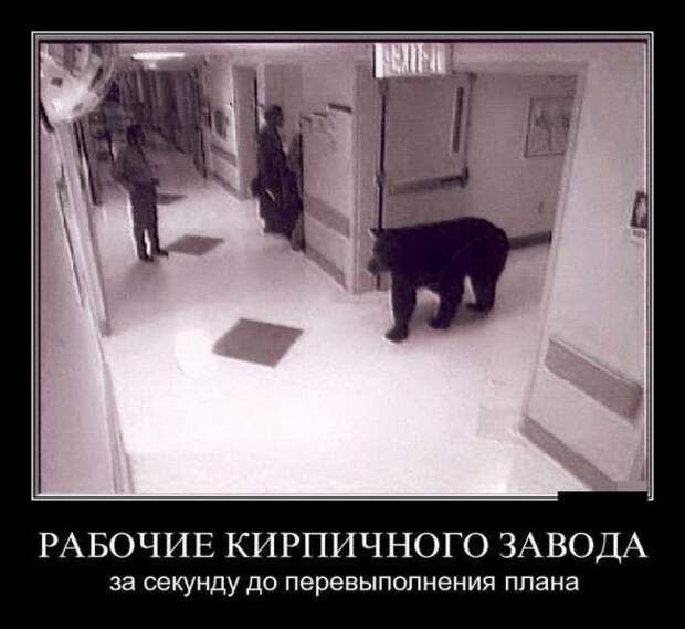 Демотиваторы или очередной сеанс смеха