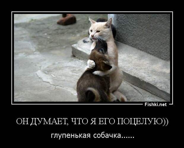 Демотиваторы смех, демотиваторы, прикол, юмор