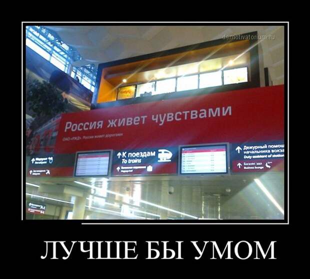 Демотиваторы бревно, демотиваторы, юмор