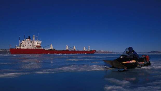 "Обеспечить выживание": вот почему Арктика — самое "жаркое" место на Земле