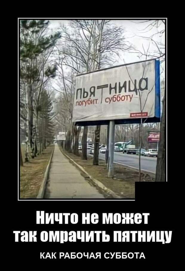 Демотиваторы 11 февраля 2022 года