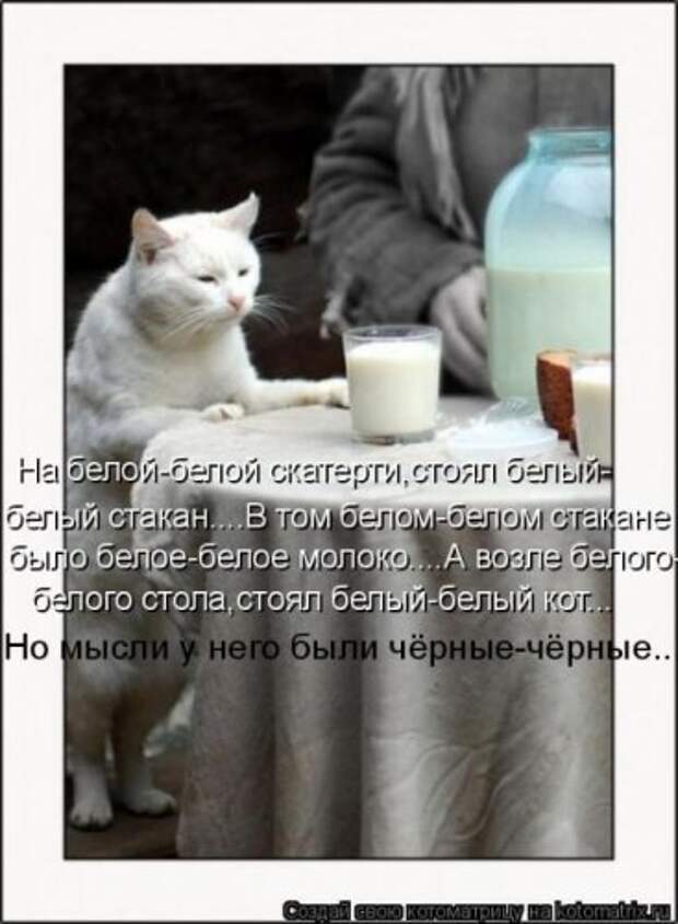 Милая котоматрица