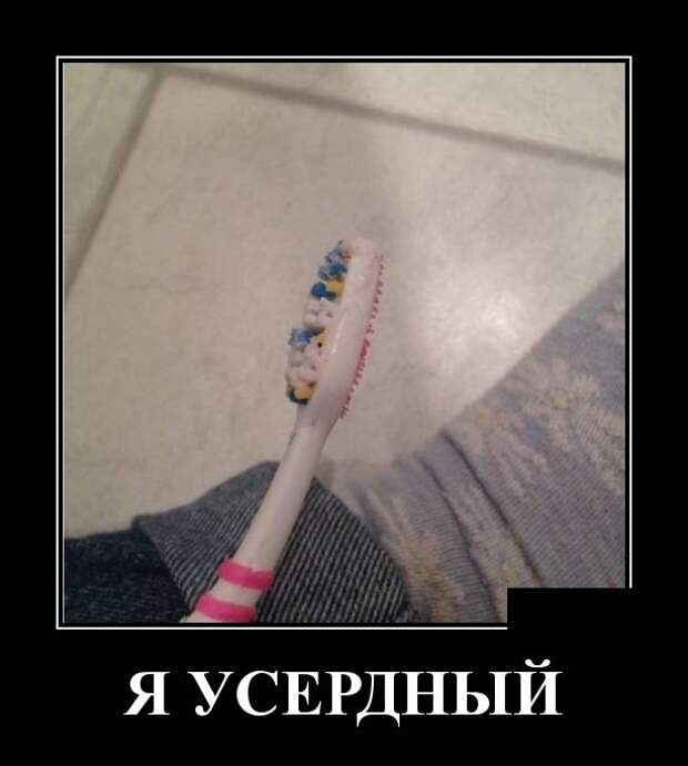 Демотиваторы (30 фото)