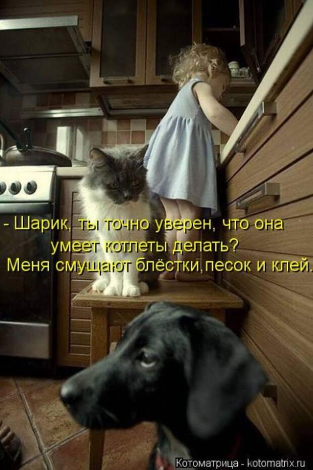 Котоматрицы(картинки с надписями)