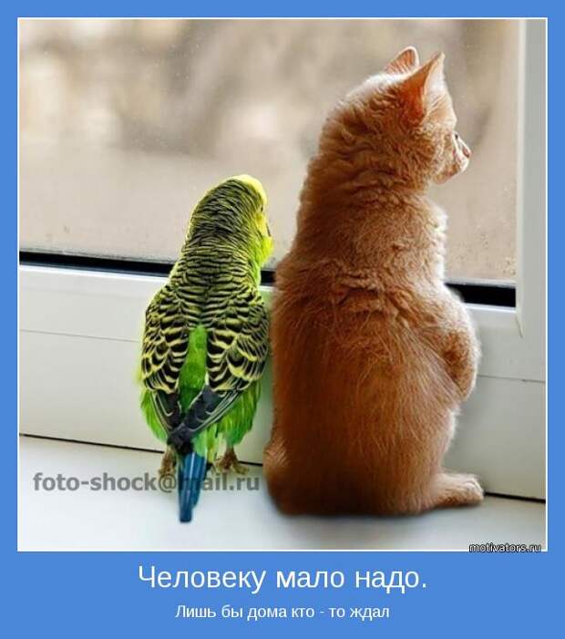 картинки - мотиваторы