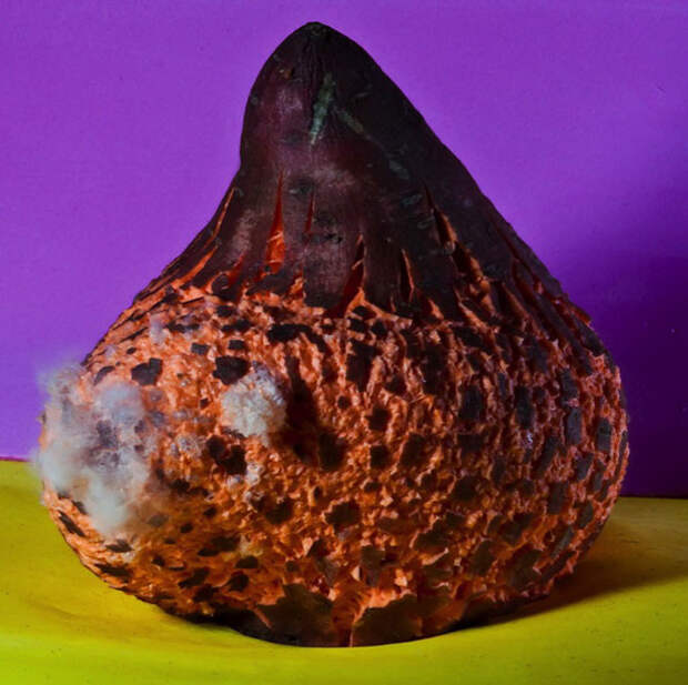 Взрывающиеся фрукты и овощи