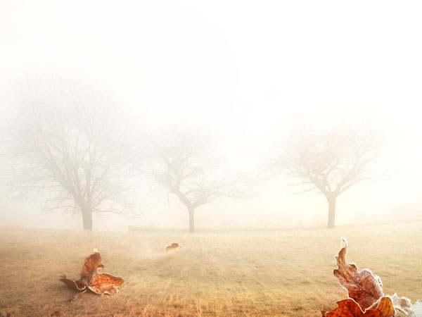 frank_melech_artworks