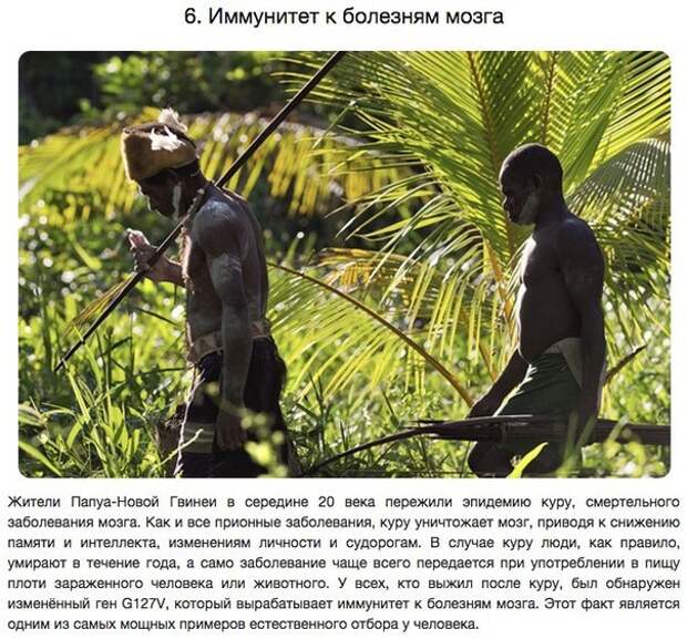 10 удивительных способностей, полученных в результате генетических мутаций 10 удивительных способностей, полученных в результате генетических мутаций