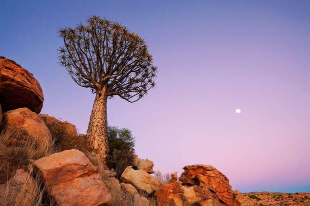 Namibia13 Фантастические пейзажи Намибии