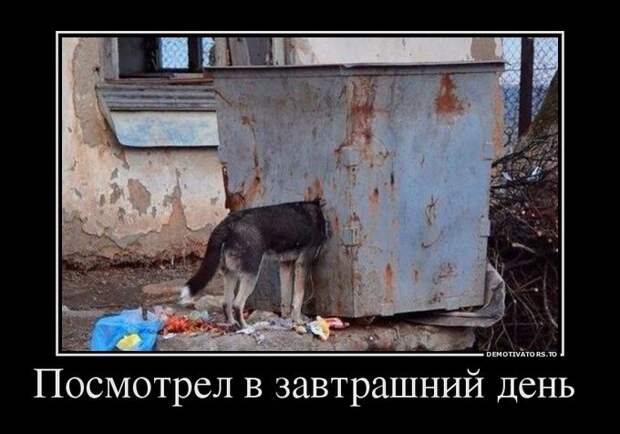 Демотиваторы демотиваторы, юмор