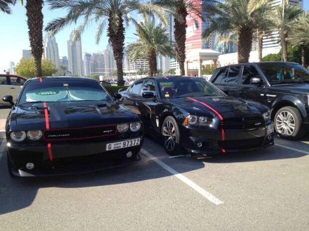 arab_suC