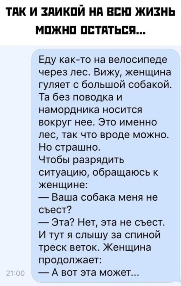 Подборка картинок. Дневной выпуск (23 фото)