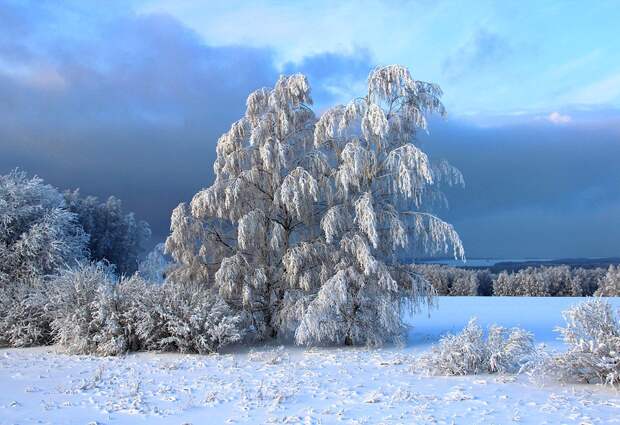 Потрясающие  фотографии зимней природы зима, природа